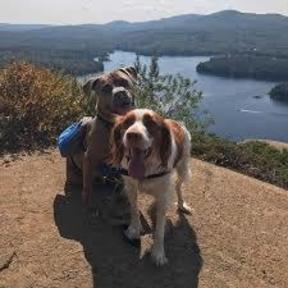Tedy’s In Home Pet Boarding Service - Knox, ME
