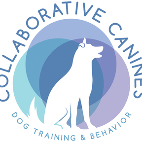 Collaborative Canines Dog Training - Anaheim, CA