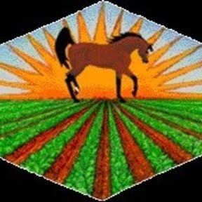 Jack Tone Ranch - Horse Boarding - Stockton, CA