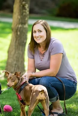 The Animal Maven - Professional Dog Trainer - The Villages, FL