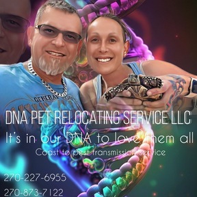 DNA Pet Relocating Service LLC - Pet Transportation  - Nationwide