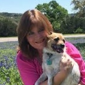 Lake Travis Counseling Connection Pet Loss Grief Counseling - Lakeway, TX - Lakeway, TX