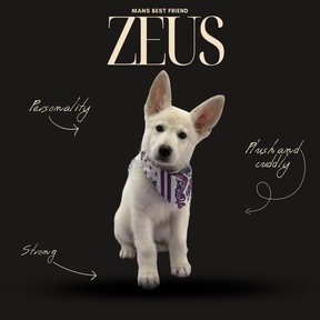 Christina Bunnell Pet Transport  - Sacramento, CA