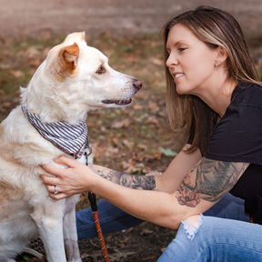 Awaken Canine - Holistic Pet Care - Animal Massage - Franklinville, NJ