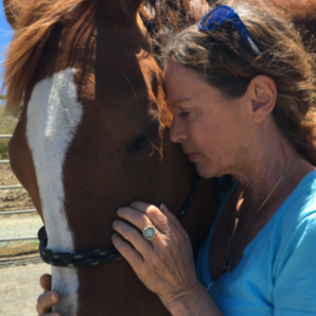 Marji Pearson, Animal Reiki Healing - Mill Valley, CA - Nationwide