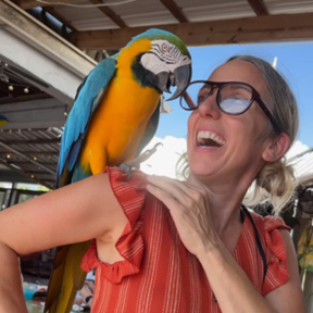 Inga Finch - Professional Pet Photographer - Tallahassee, FL