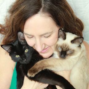 Ready for healing support? - Animal Reiki and Wellness Care - Redmond, WA - Redmond, WA