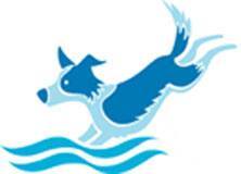Canine Fitness Trainer & Dog Massage Therapist  - Parksville, BC