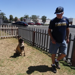OCK-9Services - Certified Dog Trainer - Frazier Park, CA