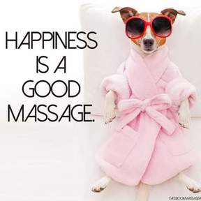 YES Massage - Equine and Canine Massage - Rochester, MN