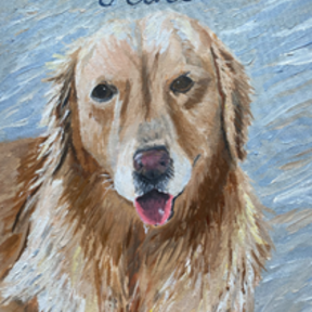 Black Bird Studio - Pet Portraits - Norwalk, CT