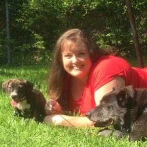 Traveling Dog Trainer  - Dallas, TX