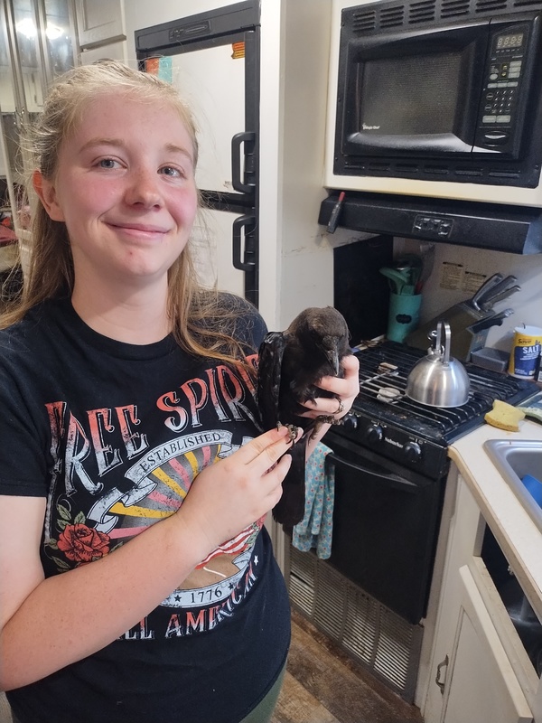 Img 20250813 111154060