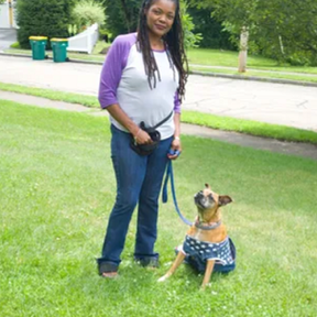Down 4 Paws - Certified Private Dog Trainer  - Norwood, MA