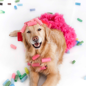 Photos by Becky - Pet Photography - Vernonburg, GA
