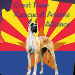 Great Dane Rescue of AZ Alliance - Phoenix, AZ