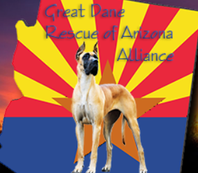 Great Dane Rescue of AZ Alliance - Phoenix, AZ