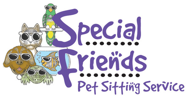 Special friends color logo new jpg
