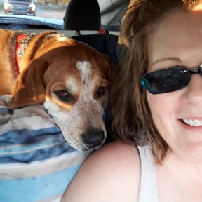 Pet Lovers Transport  - Corbin, KY
