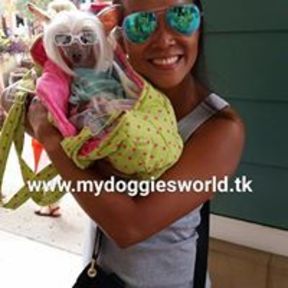 My Doggies World Coppell Crate Free Dog Boarding - Coppell, TX