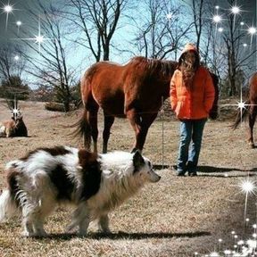Remote Viewer - Depth Clairvoyance For Lost Pets - Marshfield, VT
