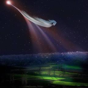 Remote Viewer - Depth Clairvoyance For Lost Pets - Marshfield, VT