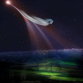 Remote Viewer - Depth Clairvoyance For Lost Pets - Marshfield, VT