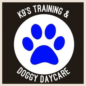 K9s Private Training and Doggy Daycare Services - Plaistow, NH