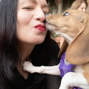 Photo by Cyndee - Pet Photographer - Los Angeles, CA