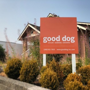 Good Dog Daycare and Boarding - Seattle, WA