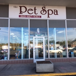Come Join the Pet Spa Family - Pet Grooming - Newington, CT