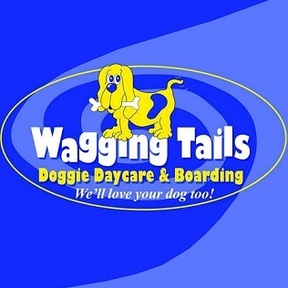 Wagging Tails - Dog Daycare - Atlanta, GA