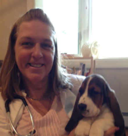 Our House Call Vet - At Home Pet Euthanasia - Ringwood, NJ