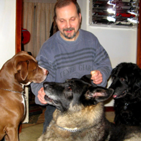 Vick's Pet Boarding and Dog Sitting - Waterbury, CT