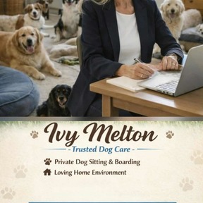 Petnanny - Pet Daycare and Boarding Services - Mission Viejo, CA