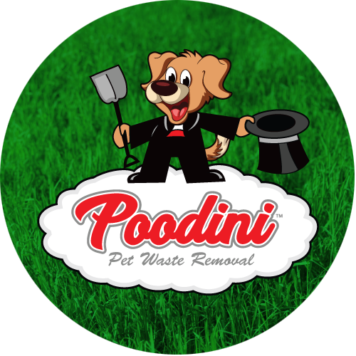 Poodini2017 logo circle