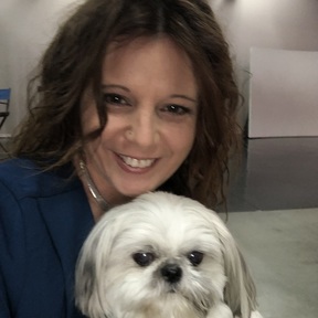 PetBlue Travel - Pet Transport Services - Flight Nanny - Westhampton, MA