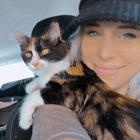 SkyPaws - Stress Free In-Cabin Pet Transport - Los Angeles, CA