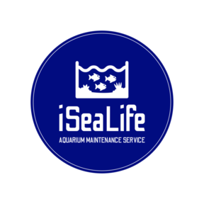 iSeaLife - Aquarium Maintenance and Cleaning Services - Fort Worth, TX