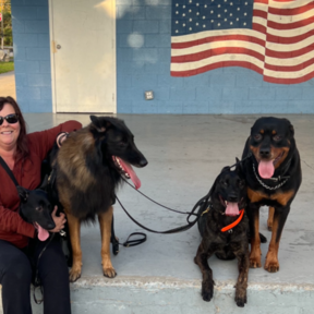 KV Dog Training In Home Dog Trainer - Hopewell Junction, NY