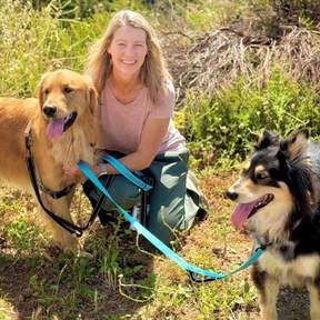 Animal Magnetism Pet Professionals Dog Walking and Pet Sitti - Los Angeles, CA