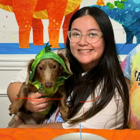 Professional Pet Moving Services - Grand Prairie, TX