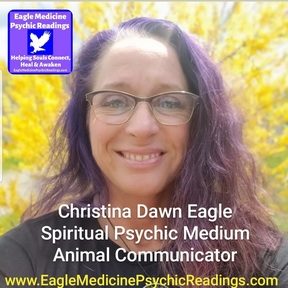 Eagle Medicine Psychic Readings - Animal Communicator  - Nationwide