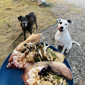 Holistic Canine Fresh Food Nutrition - Raymond, ME