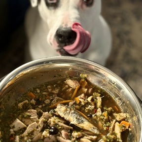 Canine Nutrition Consultant | Trusted Guidance - Raymond, ME