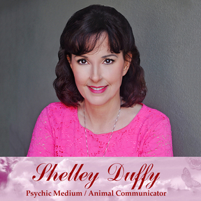 Shelley Duffy - Pet Psychic Medium  - Nationwide