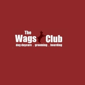 The Wags Club - Dog Daycare and Boarding Spa - Los Angeles, CA