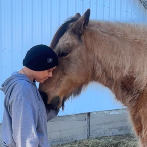Gentle Animal Reiki Healing - Clive, IA