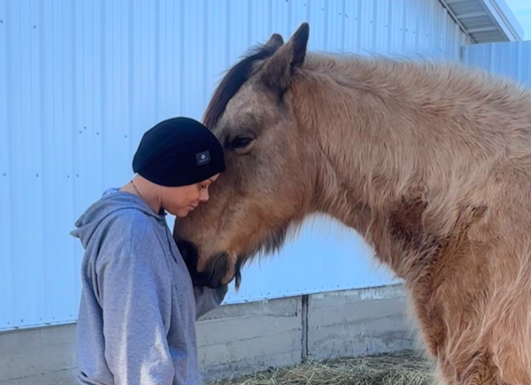 Horse reiki 1