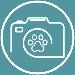 Professional Pet Photography - Libertyville, IL